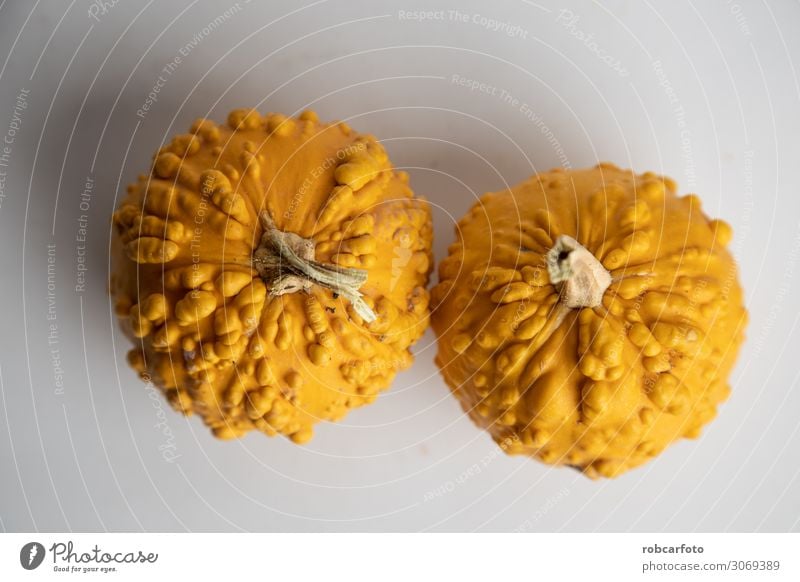 perfect pumpkins on white background Vegetable Decoration Thanksgiving Hallowe'en Plant Autumn Fresh White Pumpkin orange food Mature isolated seasonal Single