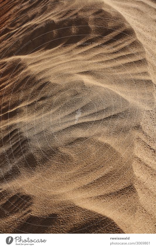 Early morning light-shifting dunes. Taklamakan desert-China-0377 Vacation & Travel Tourism Trip Adventure Far-off places Freedom Sightseeing Expedition Sun