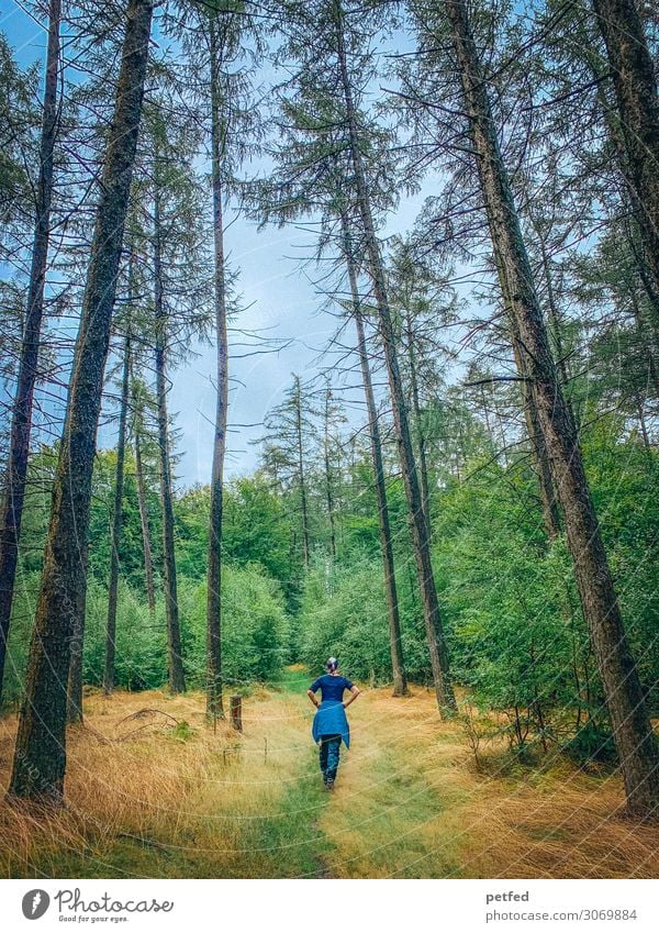 Walk the Woods Summer Hiking Woman Adults Nature Tree Bushes Forest Movement Relaxation Going Infinity Tall Blue Yellow Green Orange Contentment Serene Freedom