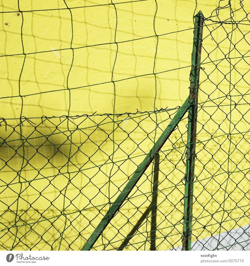 fence Fence Fence post Garden fence Protection Yellow Green Wall (barrier) Colour photo Exterior shot Light Shadow Contrast Sunlight