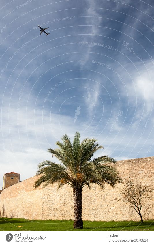 holiday planes. Vacation & Travel Far-off places Sightseeing Summer vacation Architecture Sky Beautiful weather Plant Grass Palm tree Park Meadow Town