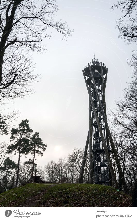 Schlossberg tower Tourism Trip Cloudless sky Autumn Tree Meadow Hill Freiburg im Breisgau Tower Manmade structures Vantage point Tall Winding staircase