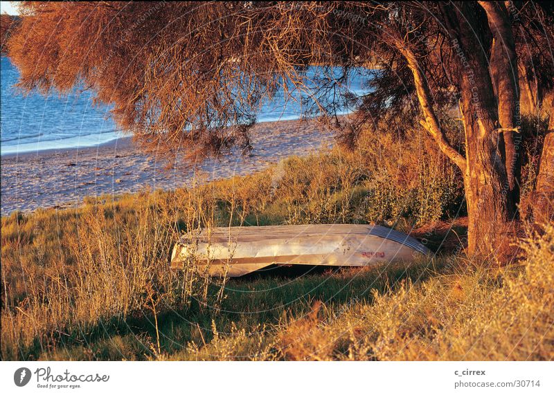 evening mood Australia Western Australia Coast Dusk Rowboat beach