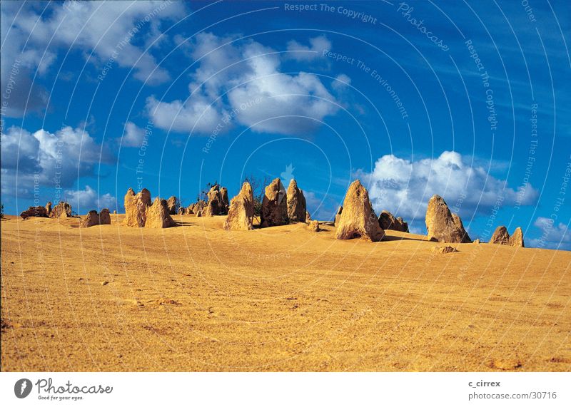 pinnacles Nambung National Park Australia Western Australia Sand petrified