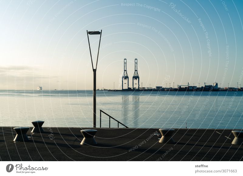 Port of Aarhus Cloudless sky Beautiful weather Baltic Sea Esthetic Idyll Harbour Dockside crane Cruise liner Blue Maritime Denmark aarhus Colour photo