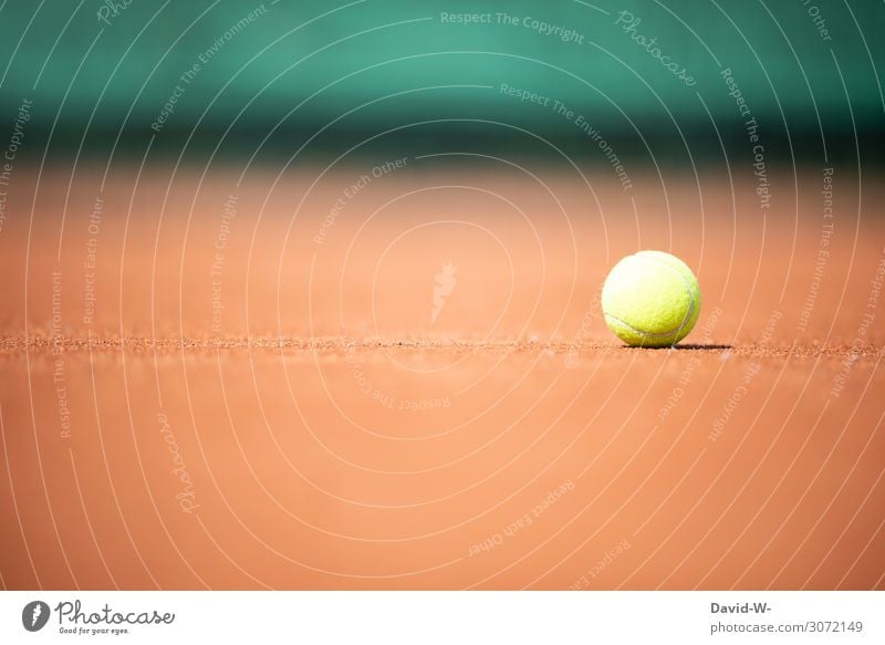 tennis Sports Ball sports Sports team Stands Sporting event Success Loser Sporting Complex Life Art Sunlight Summer Beautiful weather Hot Tennis court