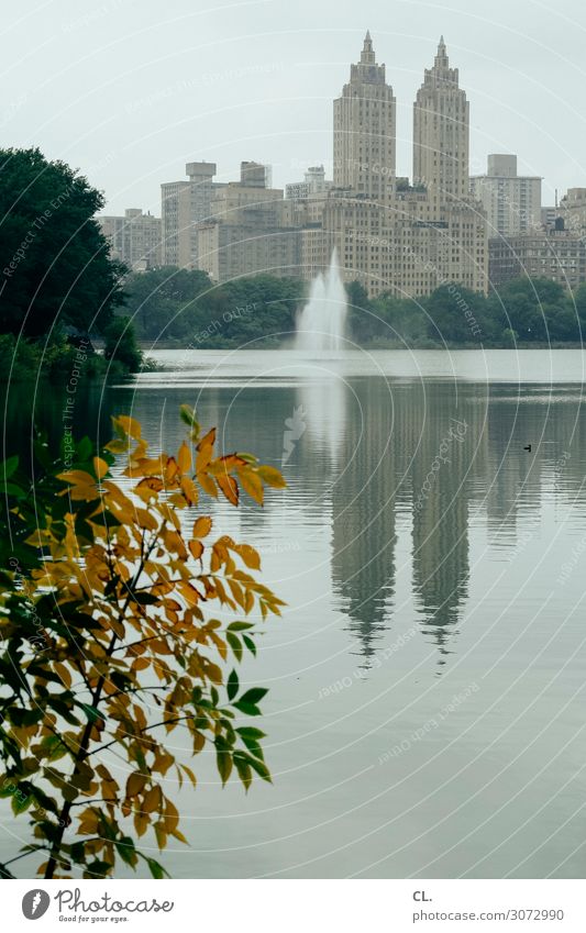 in central park Vacation & Travel Tourism City trip Environment Nature Water Sky Autumn Tree Bushes Leaf Park Lake Central Park Manhattan New York City USA Town