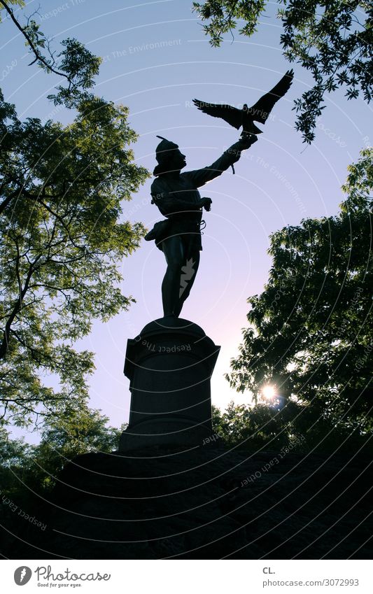 the falconer Man Adults Work of art Sculpture Sky Cloudless sky Beautiful weather Tree New York City Central Park USA Tourist Attraction Bird Wing Falcon Statue