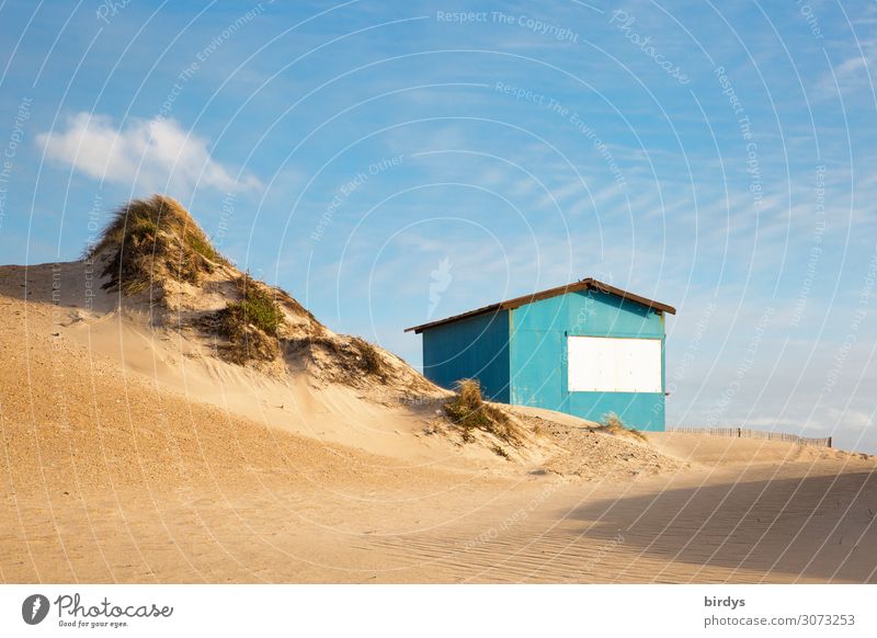 At the dune 1 Vacation & Travel Beach Living or residing Dream house Nature Sand Sky Cloudless sky Clouds Sunlight Beautiful weather Marram grass Dune Hut