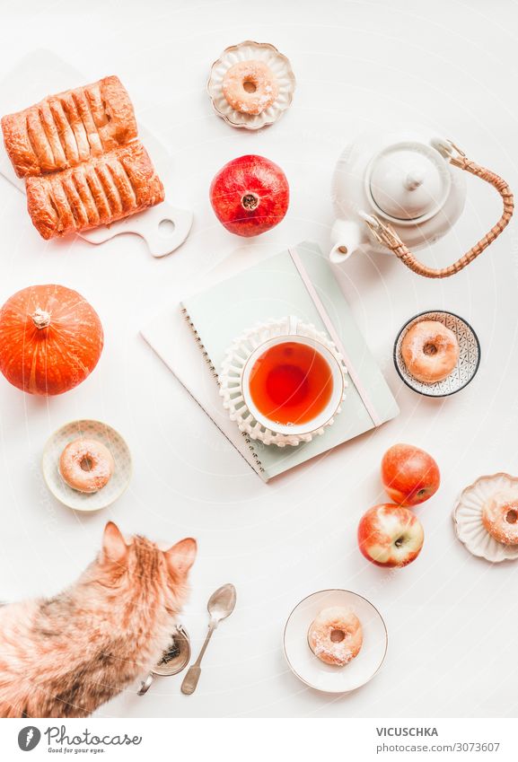 Cozy autumn still life flat lay with pumpkin. Composition of white tea set, ginger cat, pastry, mini donuts, red apples and cup of tea on blank notebooks and albums on white background. Top view