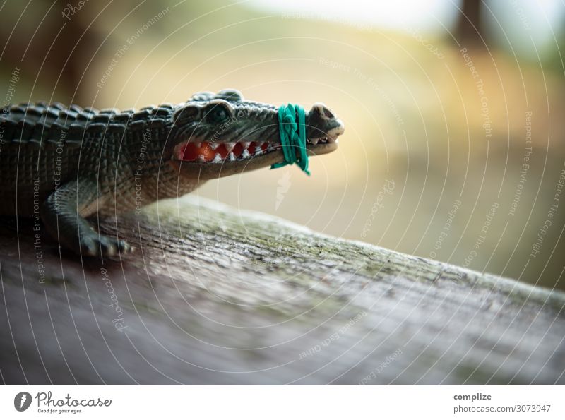 Shut the fuck up! Nutrition Healthy Parenting Kindergarten School Animal Crocodile 1 String Knot Bow Adventure Bizarre Surrealism Muzzle Snout restrain