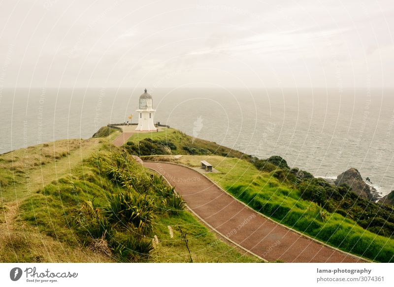 Cape Reinga - Memories of a wonderful time New Zealand cape reinga Cape Reinga Lighthouse North Island Lanes & trails ocean northland Tasman sea Tasman Sea