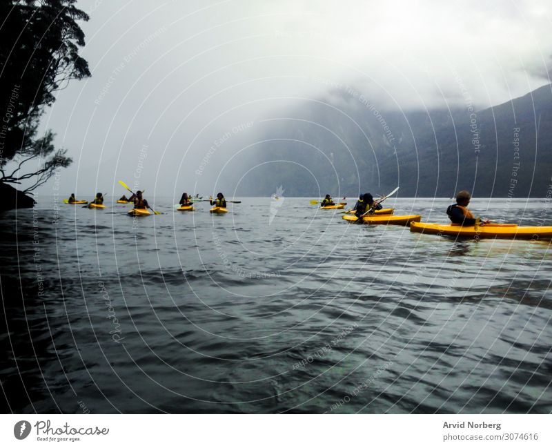 Several young people in yellow kayaks in Milford sound, New Zealand during a misty day action active activity adventure beautiful boat fun grey kayakers