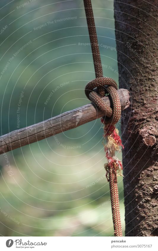 At the silk thread Environment Nature Tree Garden Park Forest Sign Authentic Fat Thin Broken Rope String Climbing rope Knot Silken Dangerous Abrupt Rip To fall