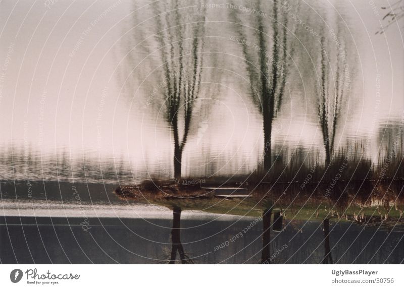 Trees in the water Lake Pond Reflection Waves Opposite Water