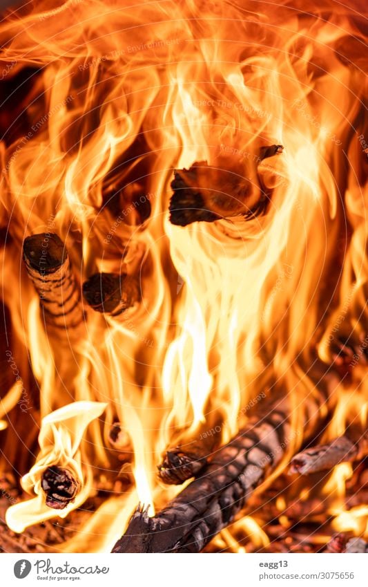 Flames of fire in charcoal with firewood Beautiful Nature Warmth Hot Dangerous Energy ablaze Ashes background backgrounds Blaze blazing Bonfire burn burnt