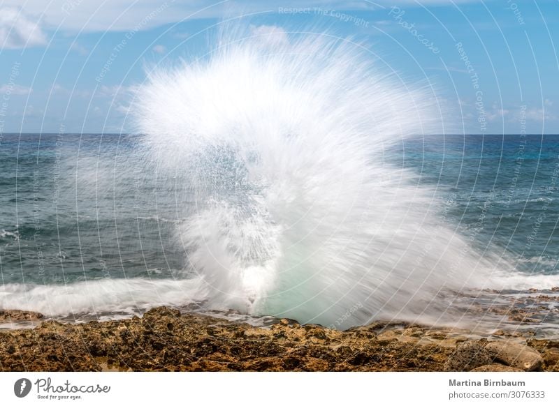 Blow holes at the coast of Grand Cayman Island Beautiful Vacation & Travel Summer Beach Ocean Nature Landscape Sky Weather Rock Coast Long Natural Blue White