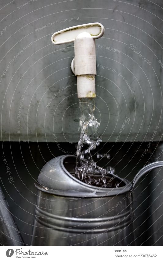 So precious: Rainwater flows from pale green rain barrel into silver watering can Rainwater butt Watering can Garden Environment Drops of water Climate change