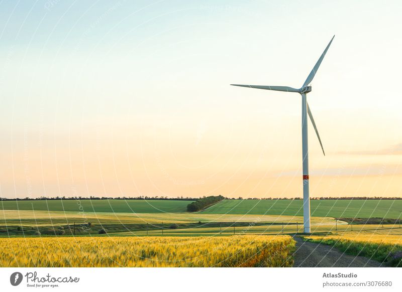 Wind turbine and beautiful fields at sunset, space for text mill wind alternative nature ecology meadow panorama renewable agriculture morning plant technology