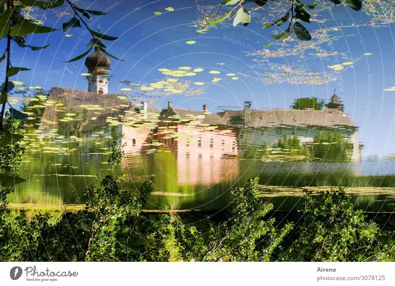 mirror-inverted Landscape Water Cloudless sky Beautiful weather Pond Lake Water lily pond Bavaria Village Church Tower Monastery Onion tower Fantastic Blue