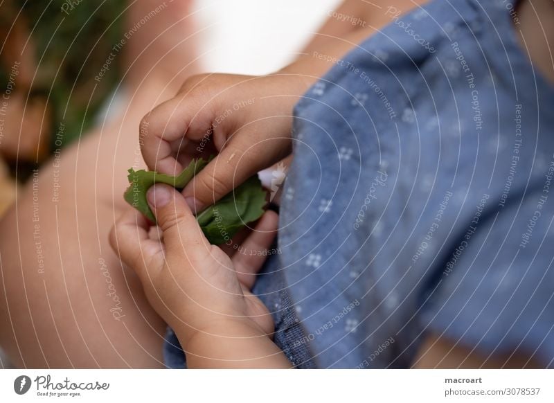 children's hands Children`s hand Hand Fingers Catch Grasp To hold on Comprehend Mobility Discover Close-up Childlike Crawl Walking Going Ground Dirty Clean Baby