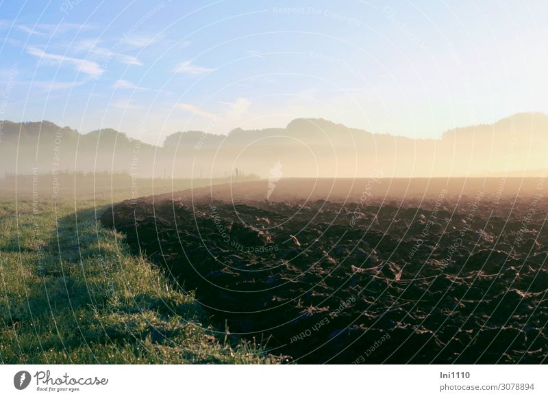 Morning fog in October Nature Plant Earth Sky Horizon Sunrise Sunset Autumn Beautiful weather Fog Grass Field Blue Brown Gray Green Pink White Moody Calm Damp