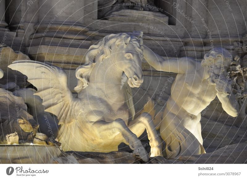 Fontana di Trevi Joy Sightseeing City trip Human being Masculine Man Adults 1 45 - 60 years Sculpture Rome Italy Places Tourist Attraction Monument Trevi well