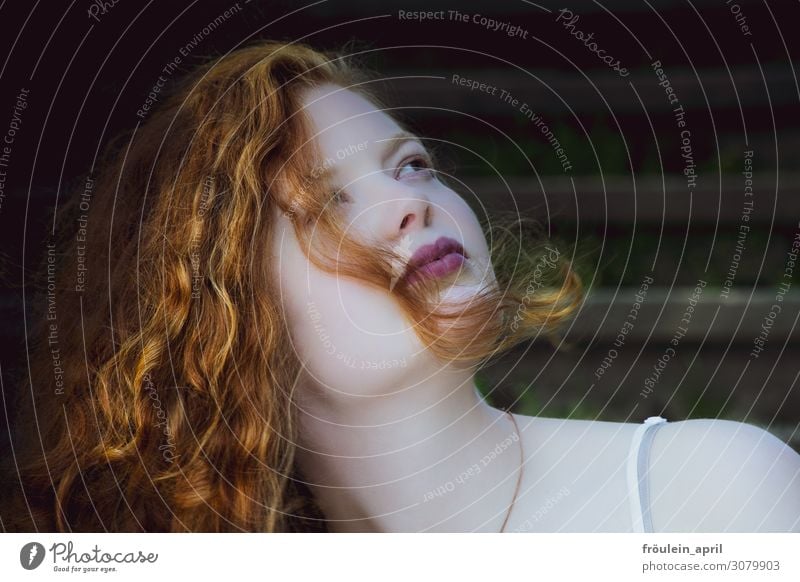 Curly | redhead young woman Woman Face of a woman portrait Young woman Hair and hairstyles Feminine Human being Adults 18 - 30 years Long-haired pretty