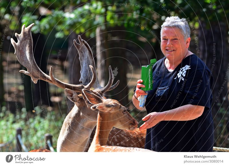 happy Trip Feminine Woman Adults Female senior 1 Human being Feeding Brown Gray Green Black White Joy Trust Sympathy Happy Fallow deer Colour photo