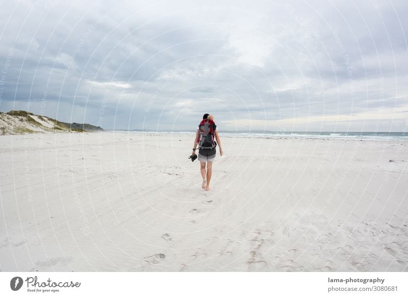 Deserted by the sea New Zealand Beach Sand Sandy beach sunshine Beach vacation bathing weather Ocean Summer vacation Vacation & Travel Relaxation Nature