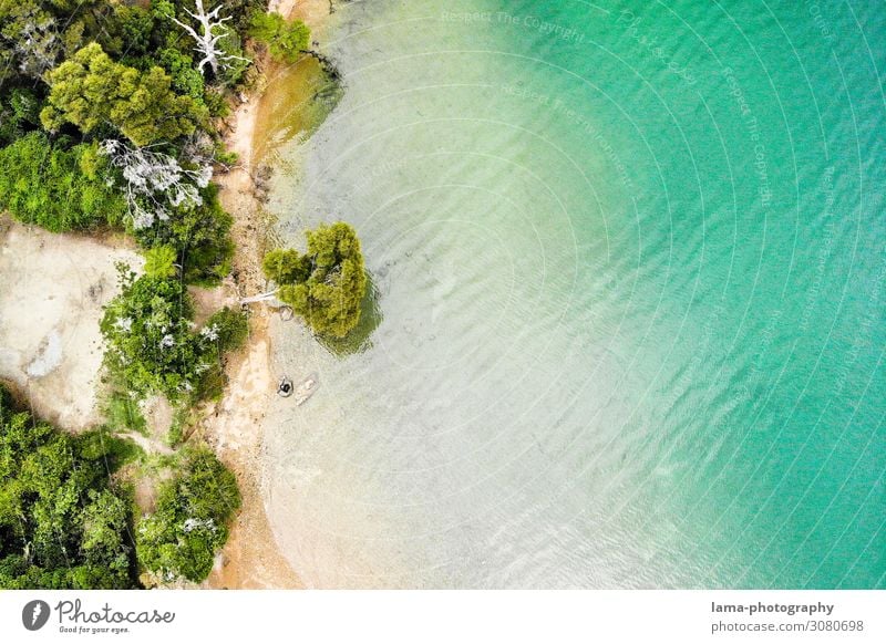 coastal line coastline Coast Water Ocean UAV view New Zealand Nature Environmental protection Clean Paradise huts Landscape Vacation & Travel Summer seascape