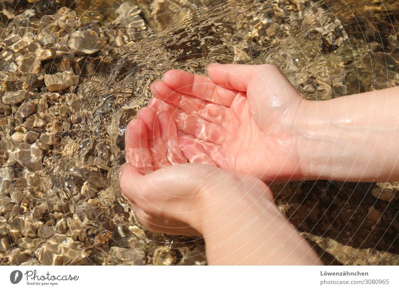 elixir of life Life Skin Hand Elements Water Brook Observe Relaxation Cleaning Fluid Fresh Cold Wet Natural Brown Pink Joie de vivre (Vitality) Attentive Purity