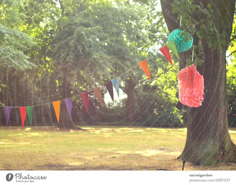 Garland and pompoms for your birthday in the park Joy Party Event Feasts & Celebrations Birthday Nature Summer Beautiful weather Tree Garden Park Meadow Forest