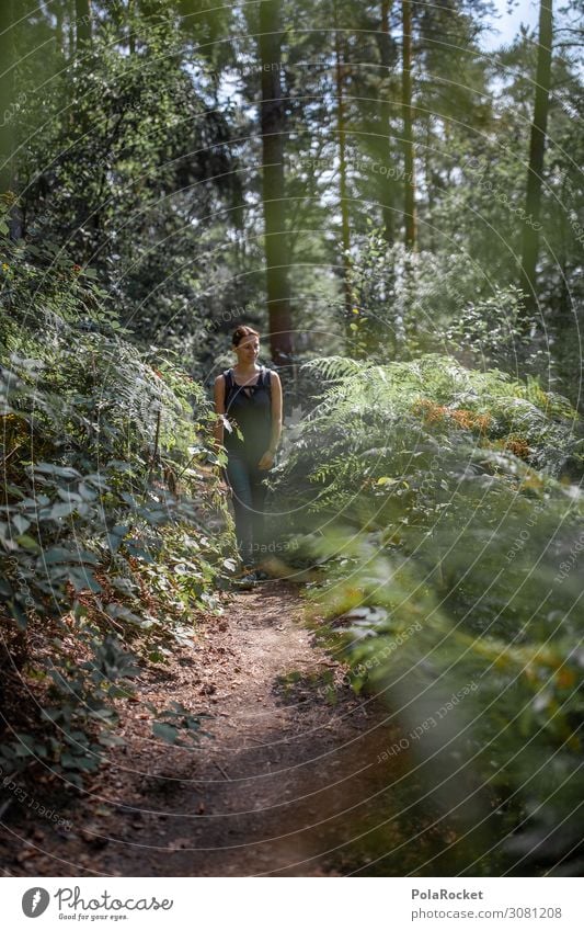 #A2# In nature Environment Nature Landscape Esthetic Nature reserve Love of nature Experiencing nature Saxon Switzerland Green Forest Footpath Hiking