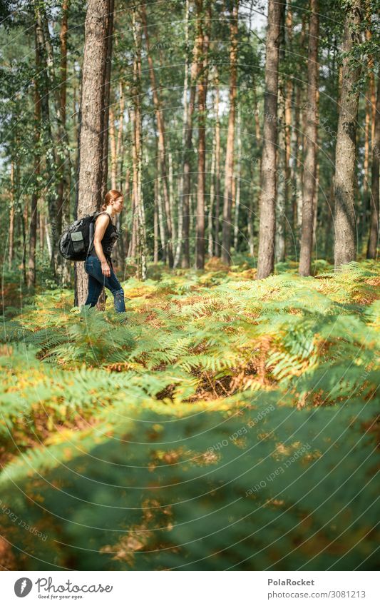 #A2#Wanderlust Environment Nature Landscape Plant Esthetic Hiking Class outing Hiking trip Itinerant tradesman Saxon Switzerland Forest Nature reserve