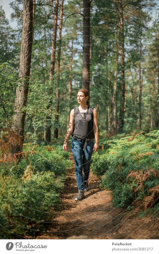 #A2# Hiking trip Environment Nature Landscape Esthetic Forest Clearing Edge of the forest Forest walk Class outing Hiking group Nature reserve Love of nature