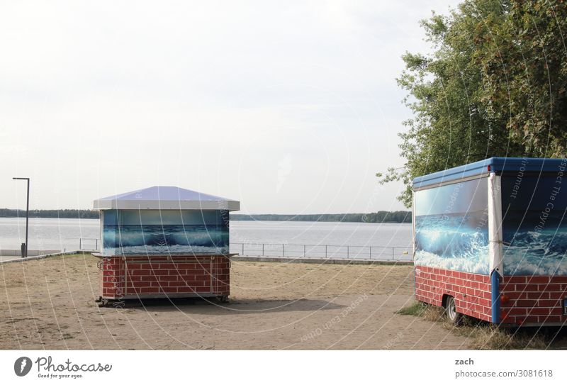 closing time Beer beer trolley Nature Water Tree Lakeside Beach senftenberg lake Senftenberg Small Town Deserted Hut Gray Gloomy Beverage stall Subdued colour