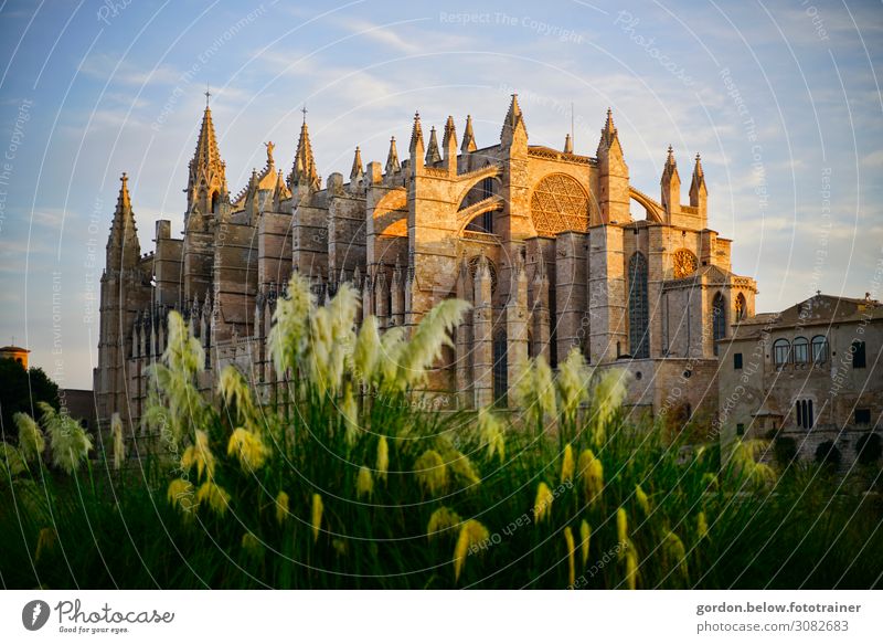 church dream Art Architecture Landscape Sky Summer Plant Fern Port City Deserted Church Manmade structures Stone Brick Dream Blue Brown Yellow Green Black White