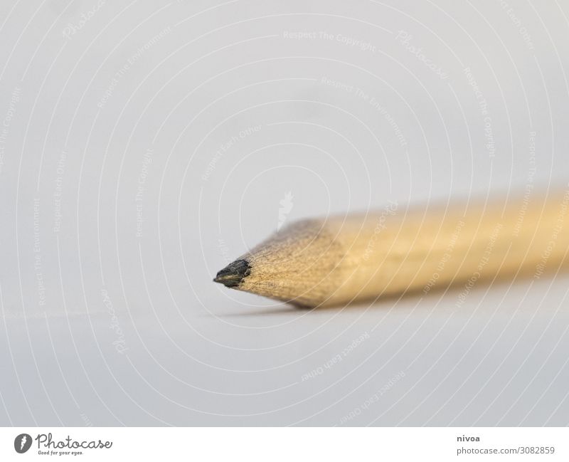 Detail of a pencil Pencil macro shot Close-up White Graphite Draw Write Macro (Extreme close-up) Sharpener Creativity Wood Neutral Background Design