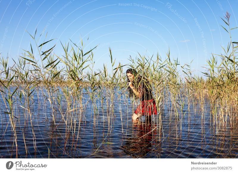 creep up Vacation & Travel Freedom Summer Summer vacation Sun Human being Feminine Woman Adults Nature Water Cloudless sky Beautiful weather Plant Lake Skirt