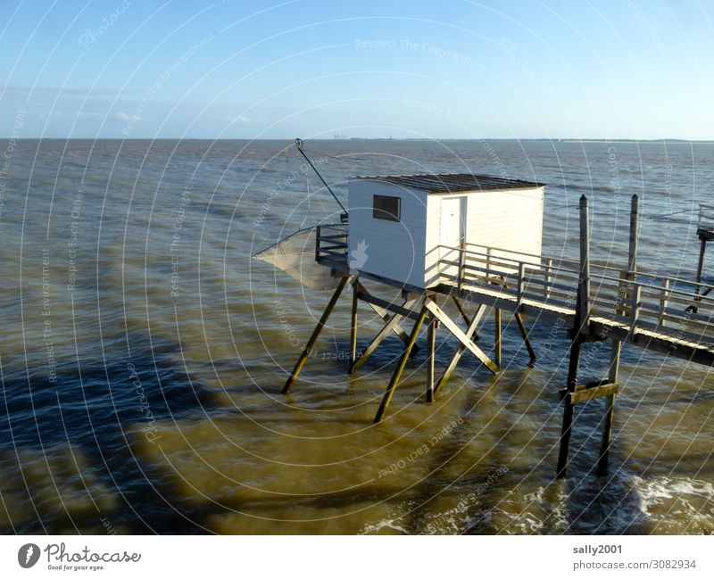 Small fishing hut Fishermans hut stilts lake dwellings Ocean coast Fishing net Horizon Fishery Fishing (Angle) Net Exterior shot France Atlantic coast