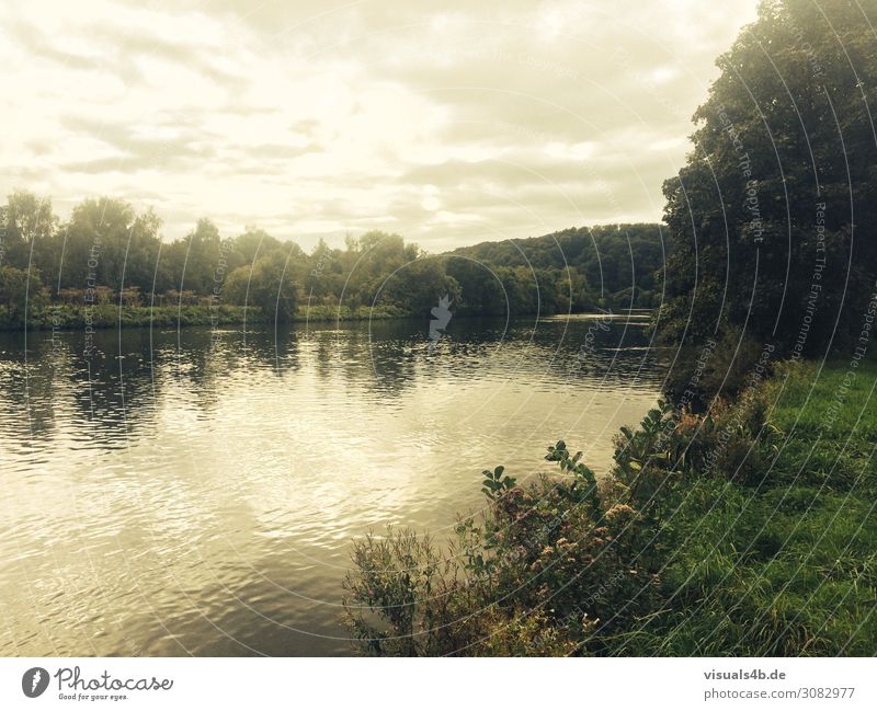 River (the Ruhr) with reflections of bushes Fishing (Angle) Freedom Camping Cycling tour Summer Summer vacation Hiking Swimming & Bathing Jogging Environment