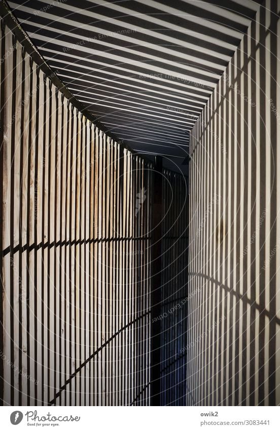 gait Corridor To go for a walk Stripe Curved Wood Dark Simple Arrangement Parallel Puzzle Unclear Anonymous Demanding Colour photo Interior shot Detail Pattern