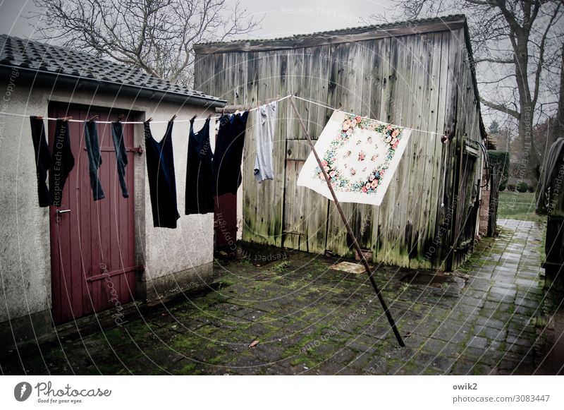 dry dock Winter Bad weather Wind Tree Door Courtyard Backyard Barn Clothesline Laundry Dry Textiles Stone Concrete Wood Movement Hang To swing Gloomy Patient