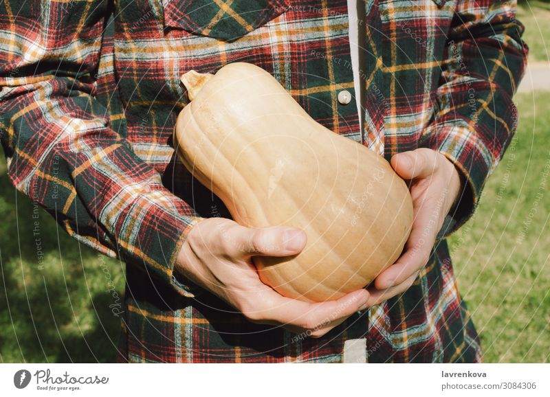 Faceless shot of a man in plaid shirt butternut squash Autumn Conceptual design Fresh Hand Harvest Hold Man Organic Exterior shot Pattern Checkered Pumpkin