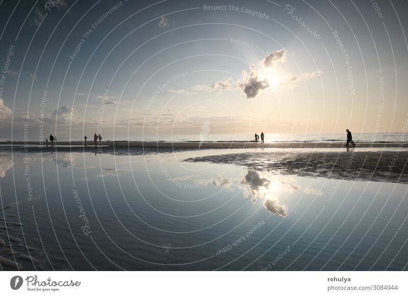 people silhouettes on sea sand beach in sunshine Vacation & Travel Tourism Summer Sun Beach Ocean Nature Landscape Sky Horizon Beautiful weather Coast North Sea