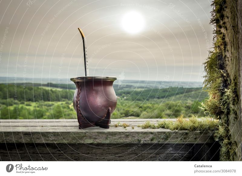 Tomas un matecito?, a mate in front of wide landscape is ready Beverage Tea Mate Tea Nature Landscape Plant Sky Clouds Sun Summer Beautiful weather Tree Grass