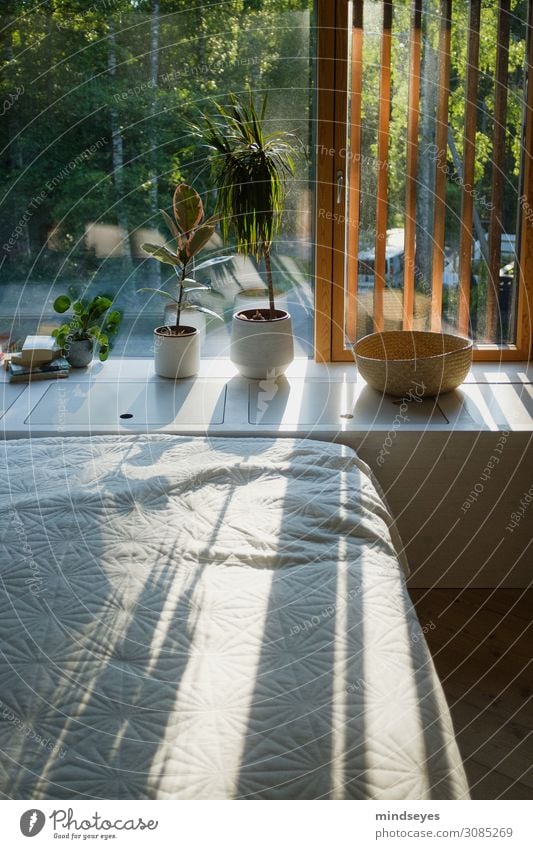 Bedroom with plants in the evening sunlight Lifestyle Style Design Wellness Harmonious Well-being Contentment Relaxation Calm Vacation & Travel