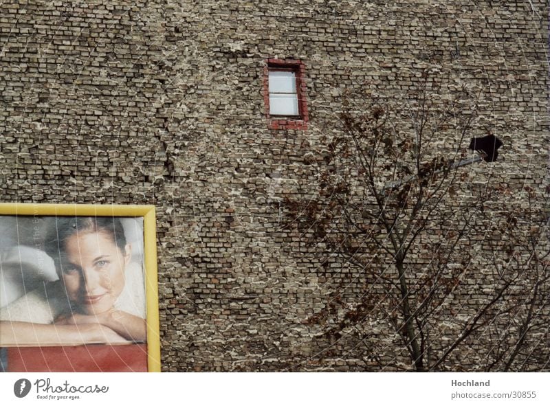 Brick wall in Berlin Woman Tree Wall (building) Window Architecture Advertising Structures and shapes