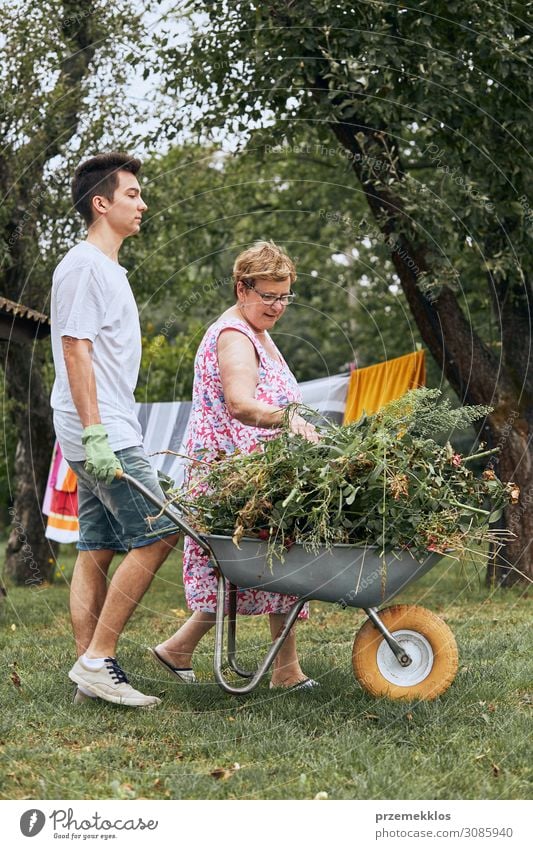 Grandchildren helping grandmother at a home garden Lifestyle Happy Leisure and hobbies Summer Garden Parenting Work and employment Gardening Retirement